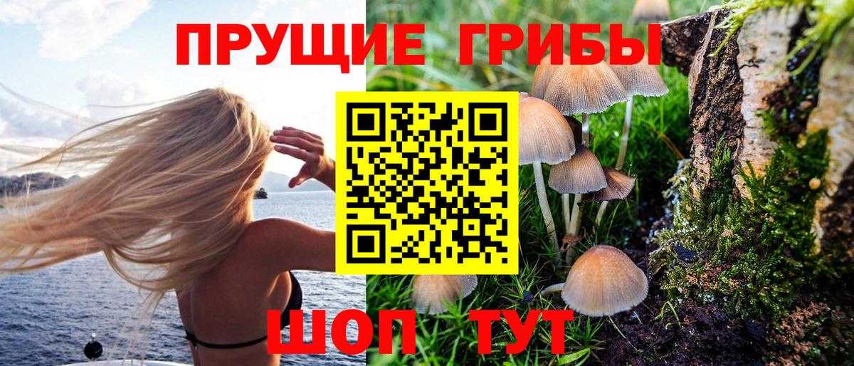 Псилоцибиновые грибы Magic Shrooms Балашиха